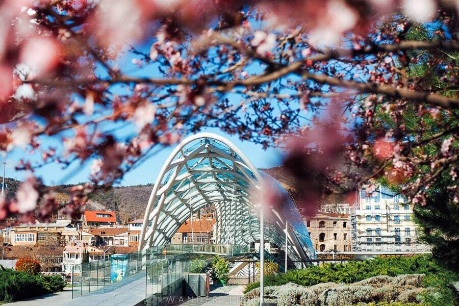 Emily-Lush-Tbilisi-in-spring-blossom-flowers-new-Peace-Bridge